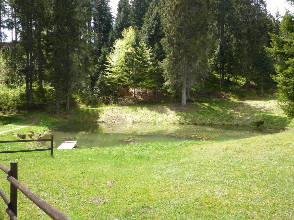 Appartment Leo Schönwalde Εξωτερικό φωτογραφία